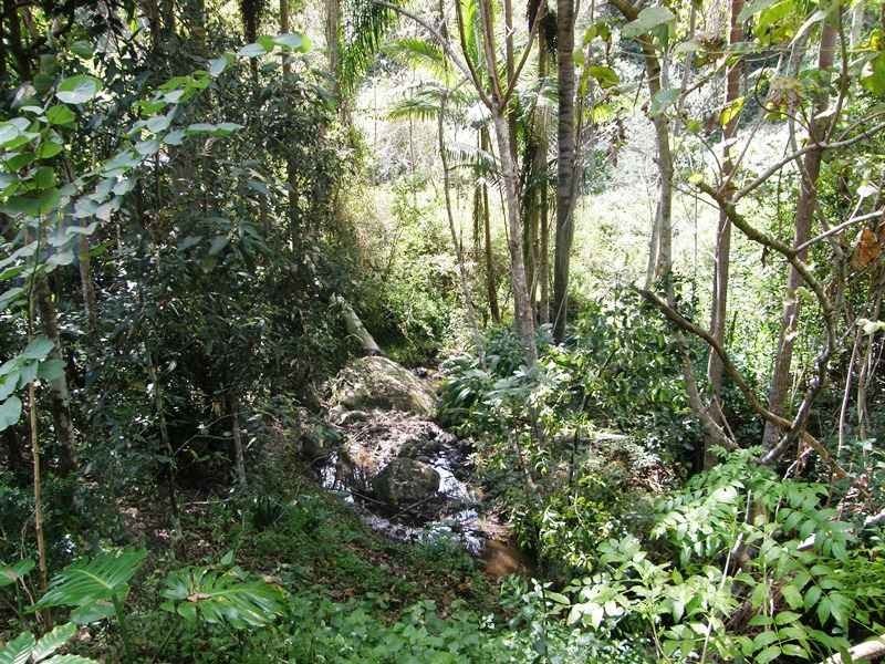 Martins Road Larnook, Kyogle NSW 2474