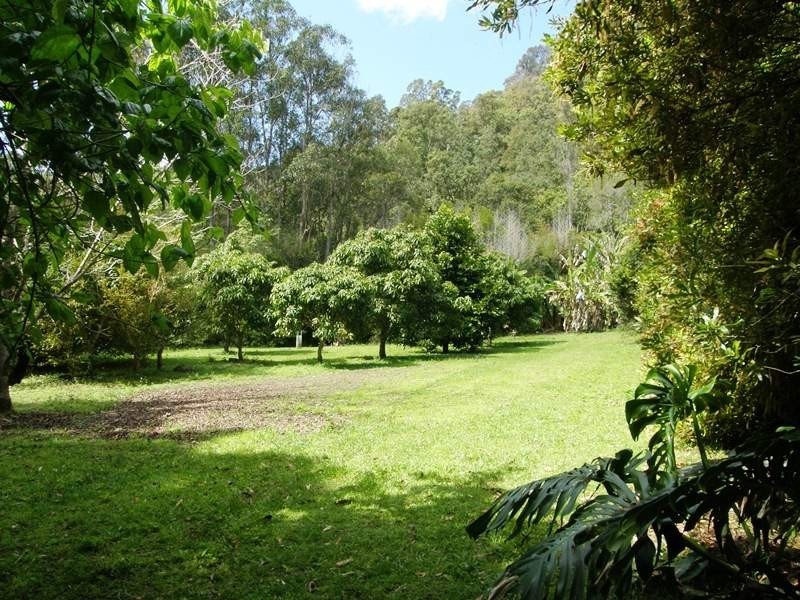 Martins Road Larnook, Kyogle NSW 2474