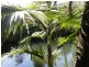 Boorabee Creek Road, Kyogle NSW 2474