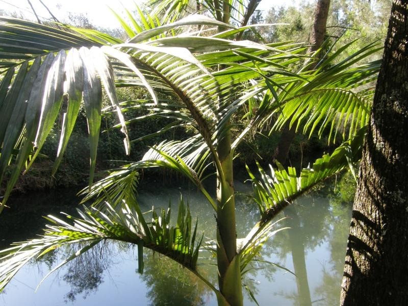 Boorabee Creek Road, Kyogle NSW 2474