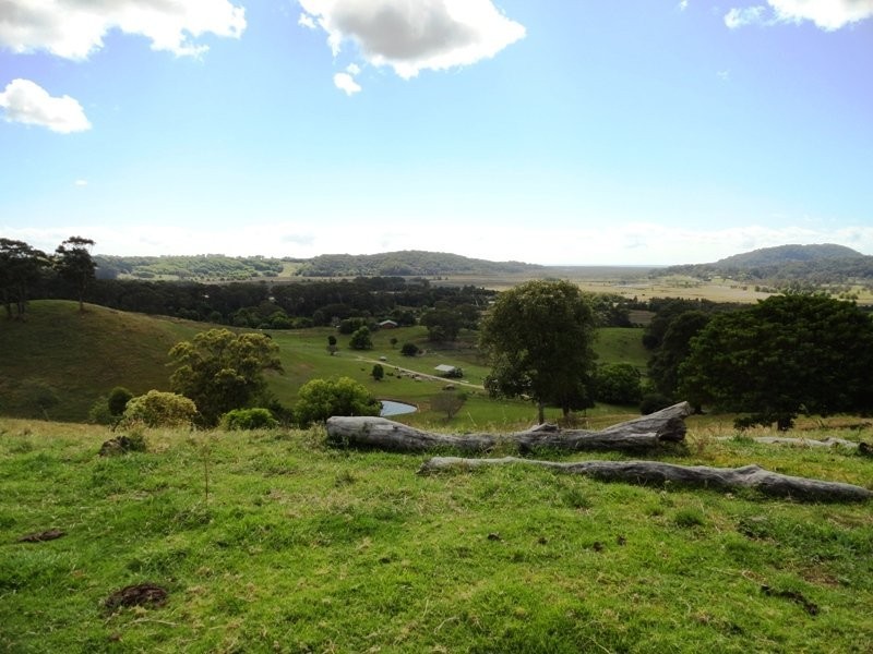 1006 Clothiers Creek Road, Murwillumbah NSW 2484