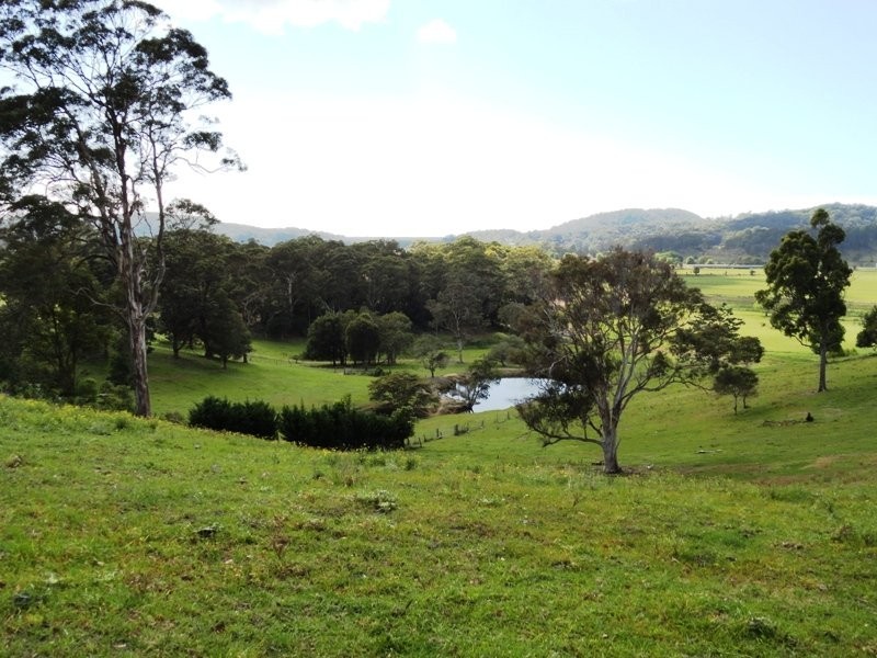1006 Clothiers Creek Road, Murwillumbah NSW 2484