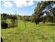1006 Clothiers Creek Road, Murwillumbah NSW 2484