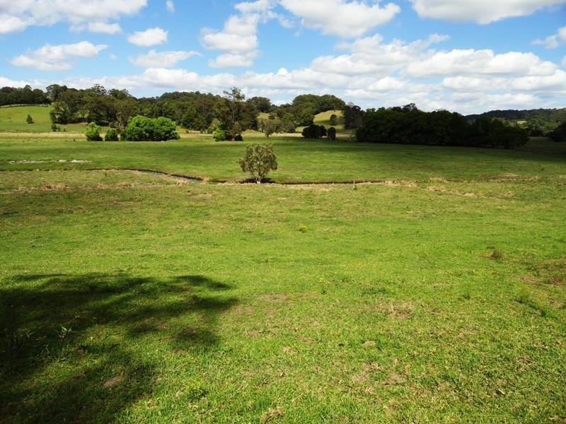 1006 Clothiers Creek Road, Murwillumbah NSW 2484