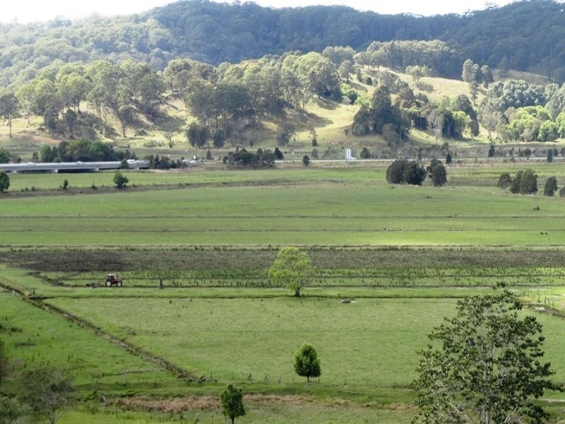 1006 Clothiers Creek Road, Murwillumbah NSW 2484