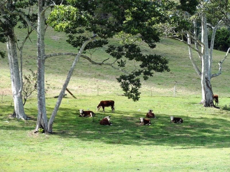 1006 Clothiers Creek Road, Byron Bay NSW 2481