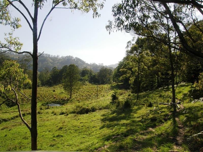 Horseshoe Creek Road, Kyogle NSW 2474