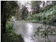 Horseshoe Creek Road, Kyogle NSW 2474