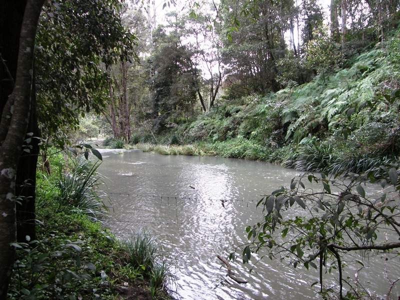Horseshoe Creek Road, Kyogle NSW 2474