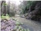 Horseshoe Creek Road, Kyogle NSW 2474