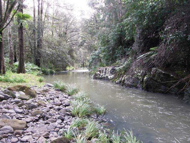 Horseshoe Creek Road, Kyogle NSW 2474