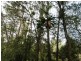Horseshoe Creek Road, Kyogle NSW 2474