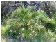 Horseshoe Creek Road, Kyogle NSW 2474