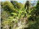Horseshoe Creek Road, Kyogle NSW 2474