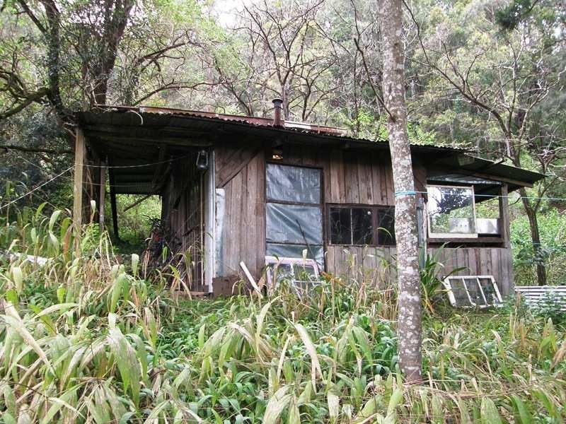 Horseshoe Creek Road, Kyogle NSW 2474
