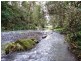 Horseshoe Creek Road, Kyogle NSW 2474