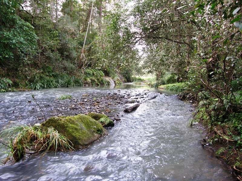 Horseshoe Creek Road, Kyogle NSW 2474