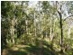 Horseshoe Creek Road, Kyogle NSW 2474