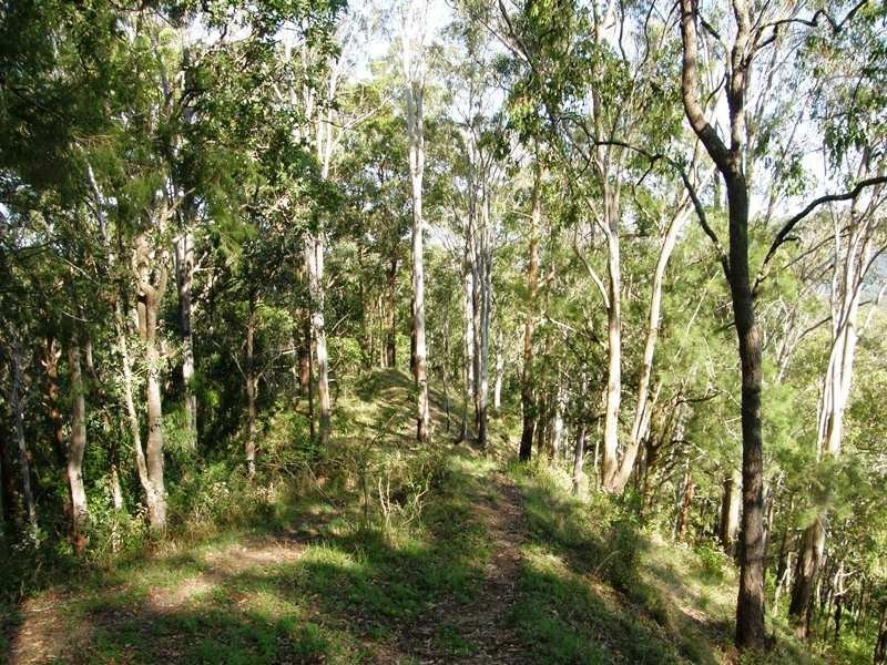 Horseshoe Creek Road, Kyogle NSW 2474