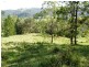 Horseshoe Creek Road, Kyogle NSW 2474