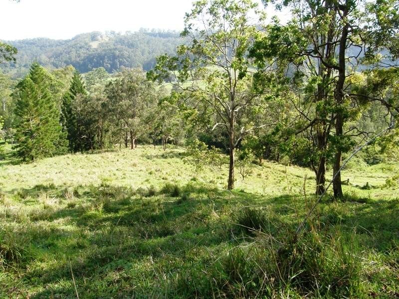 Horseshoe Creek Road, Kyogle NSW 2474