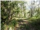 Horseshoe Creek Road, Kyogle NSW 2474