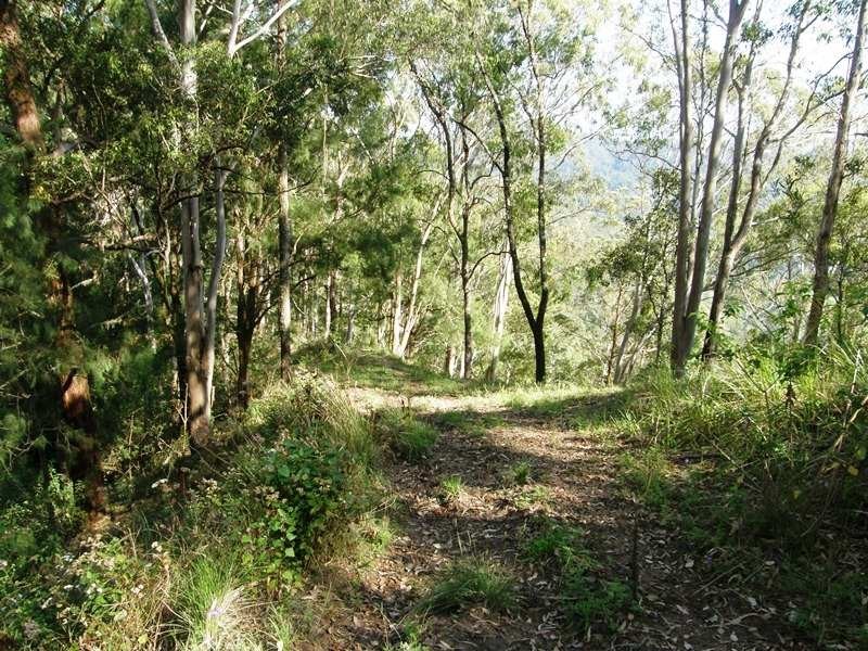 Horseshoe Creek Road, Kyogle NSW 2474