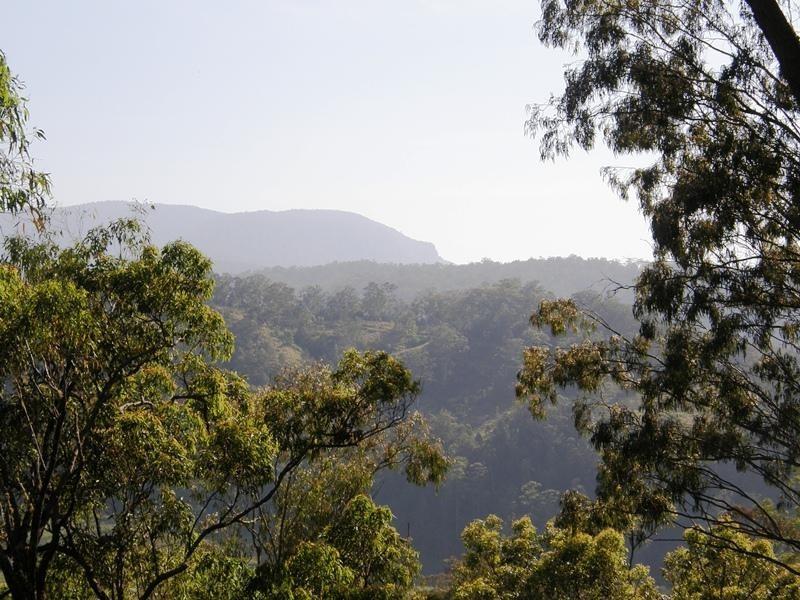 Horseshoe Creek Road, Kyogle NSW 2474