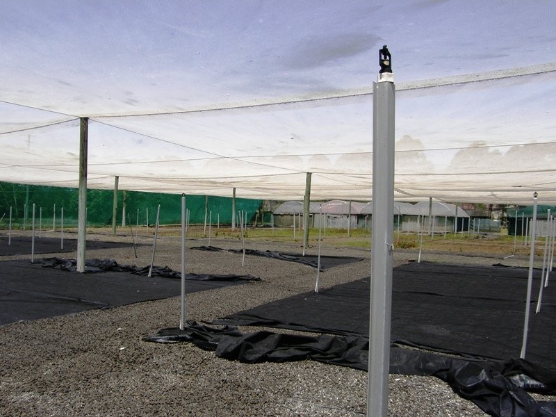 Droneys Bridge Road, Fairy Hill NSW 2470