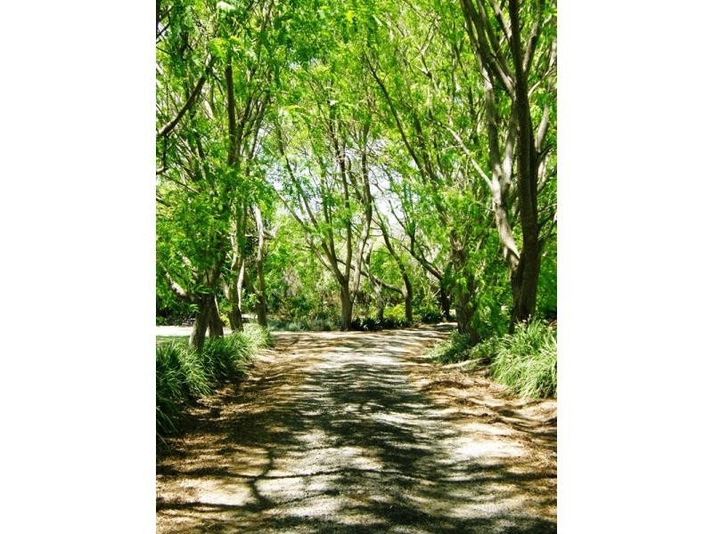 Droneys Bridge Road, Fairy Hill NSW 2470