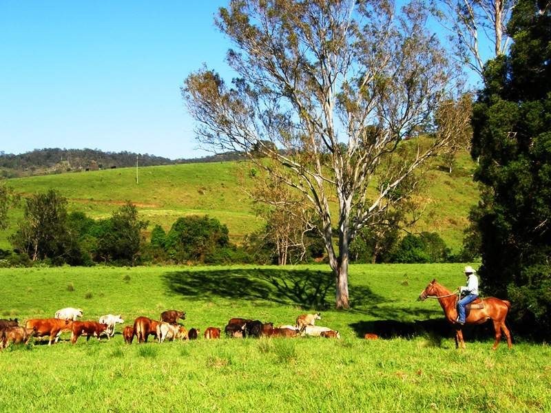 Grady’s Creek Road, Kyogle NSW 2474