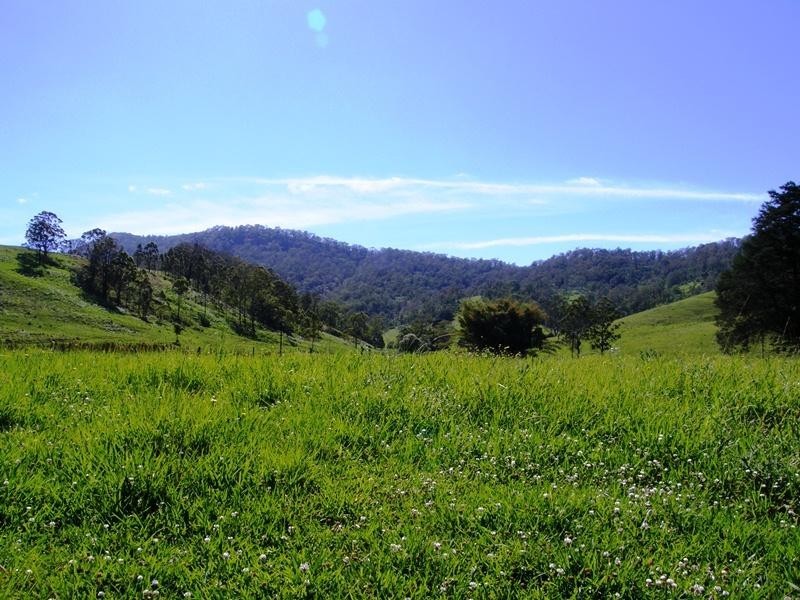 Grady’s Creek Road, Kyogle NSW 2474