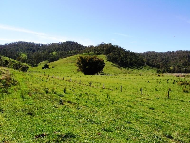 Grady’s Creek Road, Kyogle NSW 2474