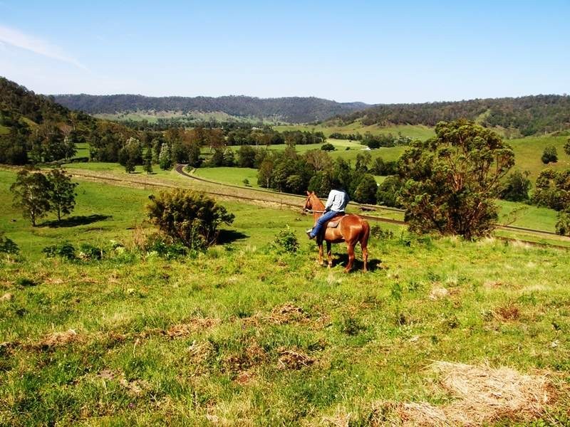 Grady’s Creek Road, Kyogle NSW 2474