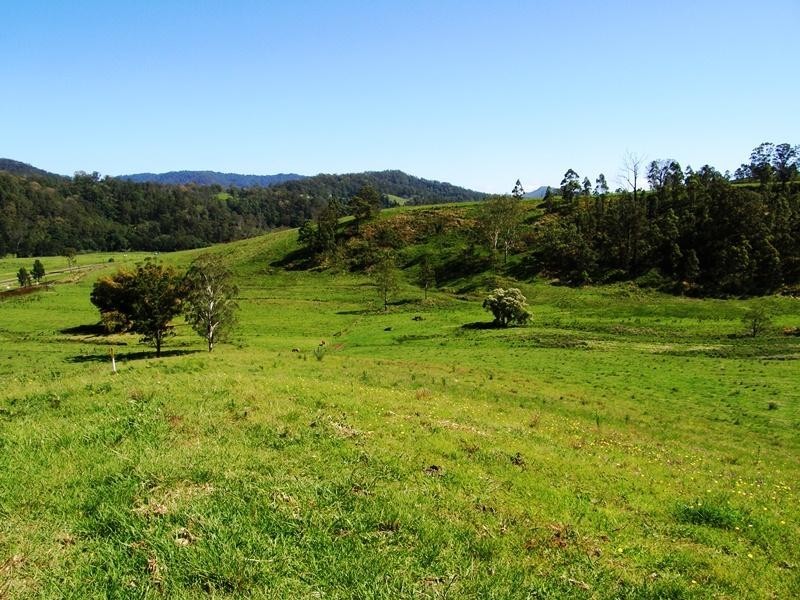 Grady’s Creek Road, Kyogle NSW 2474