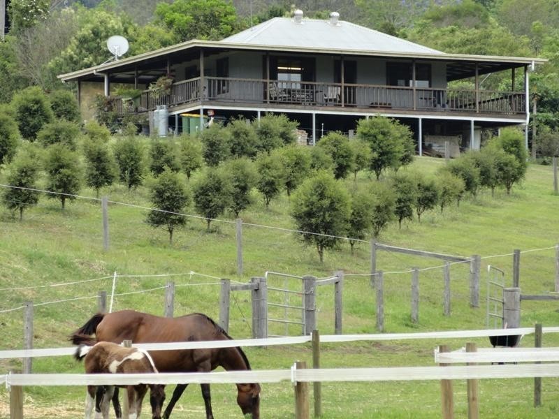 1445 Collins Creek Road, Kyogle NSW 2474