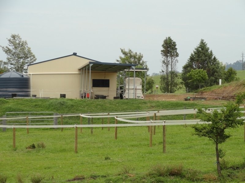 1445 Collins Creek Road, Kyogle NSW 2474