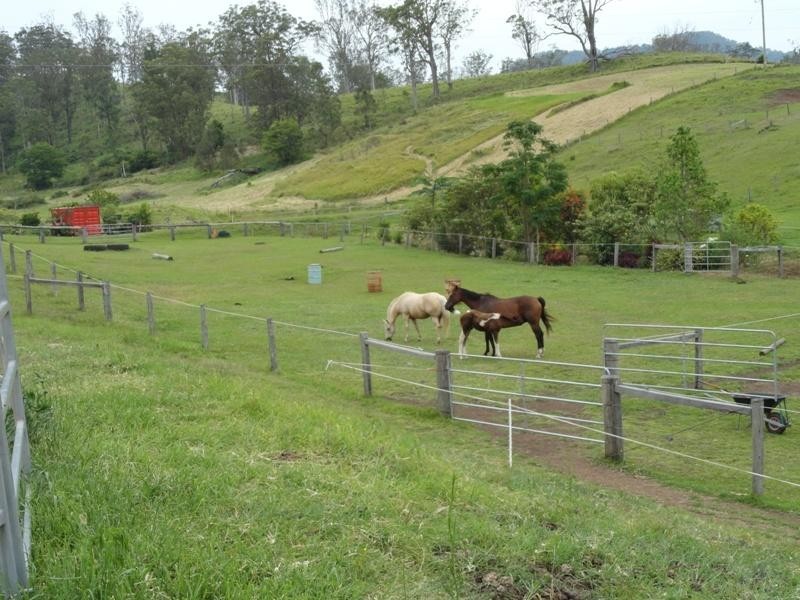 1445 Collins Creek Road, Kyogle NSW 2474