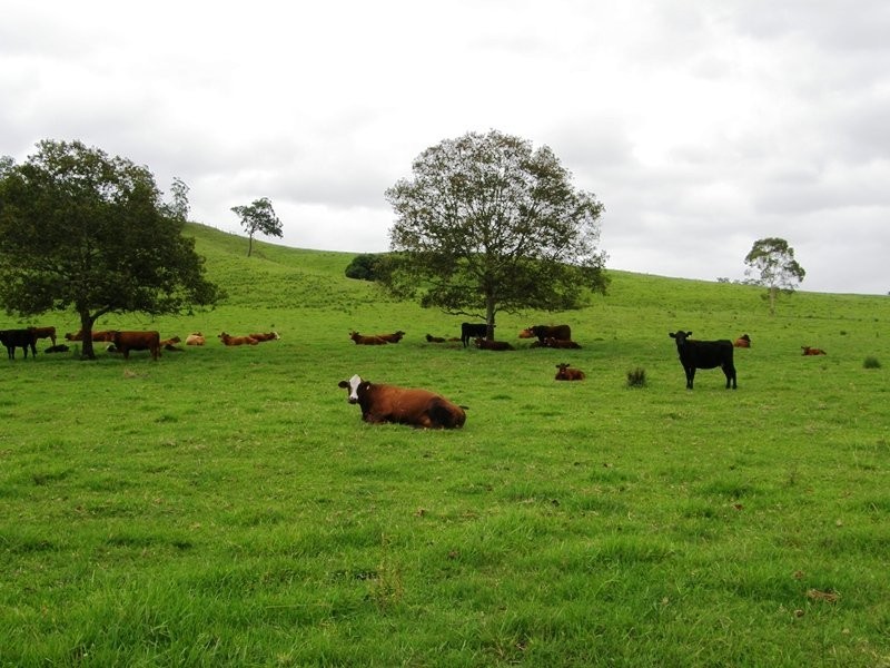 3042 Bentley Road, Lismore NSW 2480