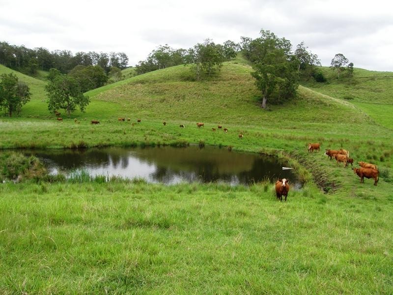 3042 Bentley Road, Lismore NSW 2480