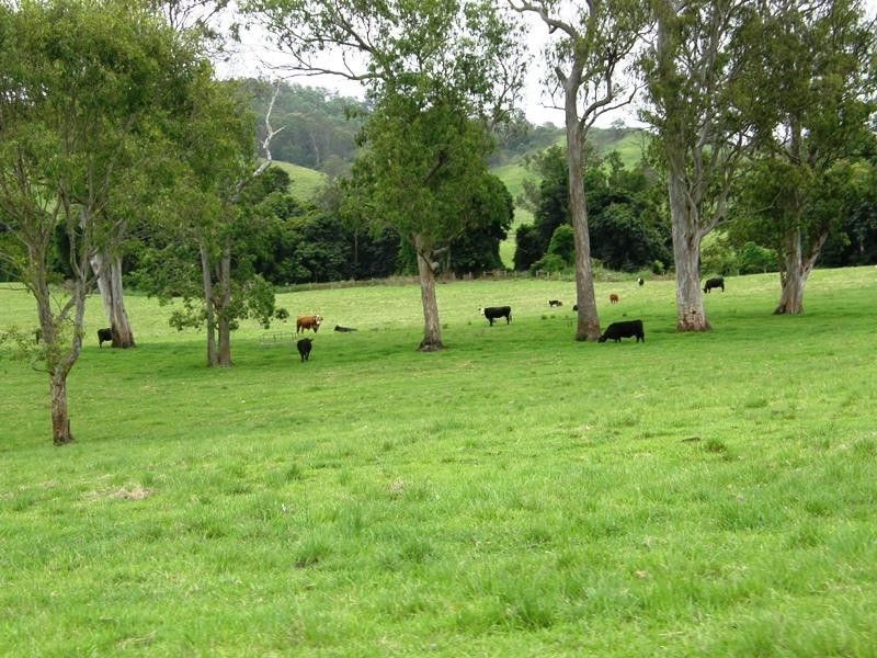 736 Back Creek Road, Lismore NSW 2480