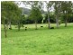 736 Back Creek Road, Kyogle NSW 2474