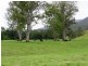 736 Back Creek Road, Kyogle NSW 2474