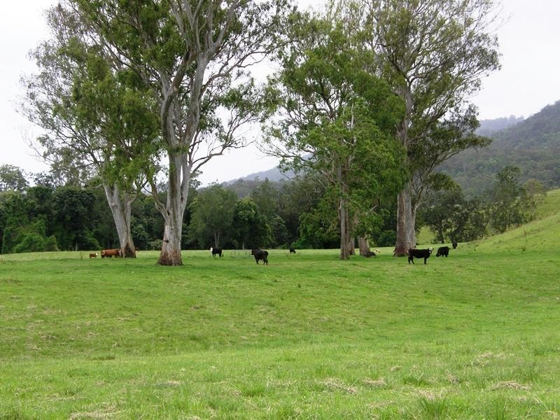 736 Back Creek Road, Kyogle NSW 2474
