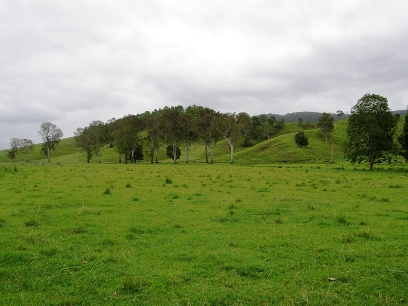 736 Back Creek Road, Kyogle NSW 2474