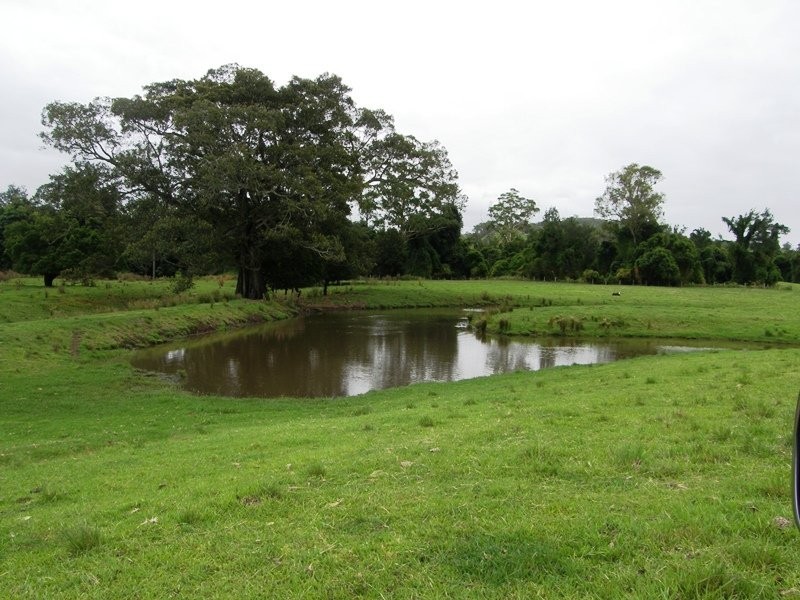 736 Back Creek Road, Kyogle NSW 2474