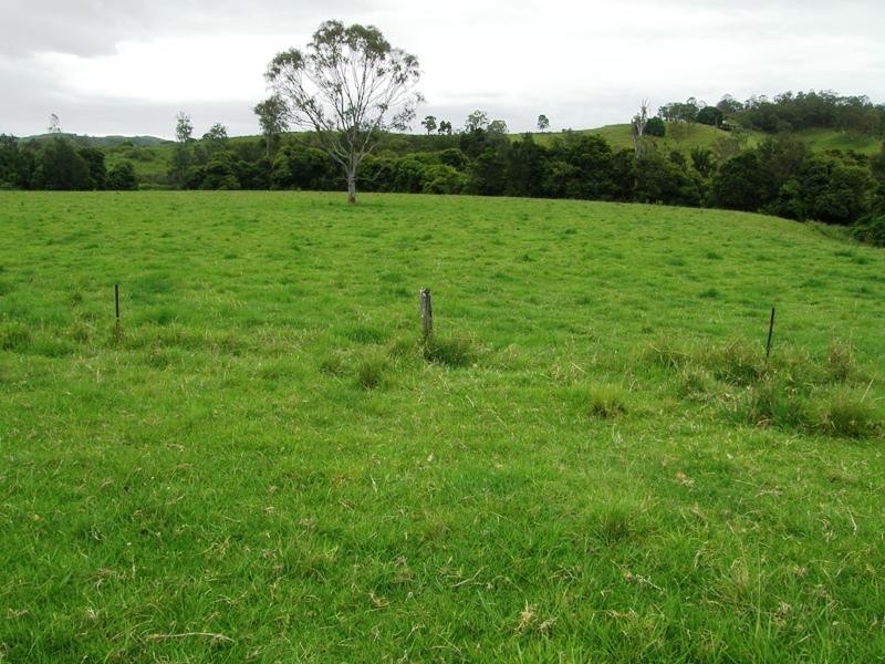 736 Back Creek Road, Kyogle NSW 2474