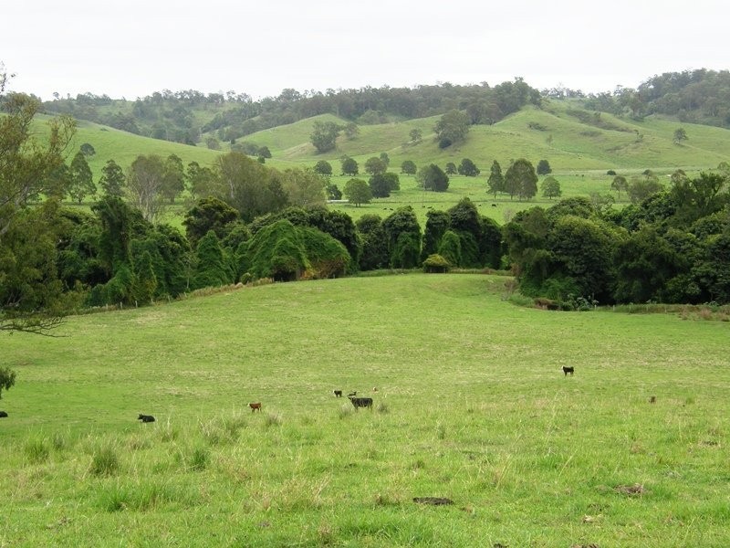 736 Back Creek Road, Kyogle NSW 2474