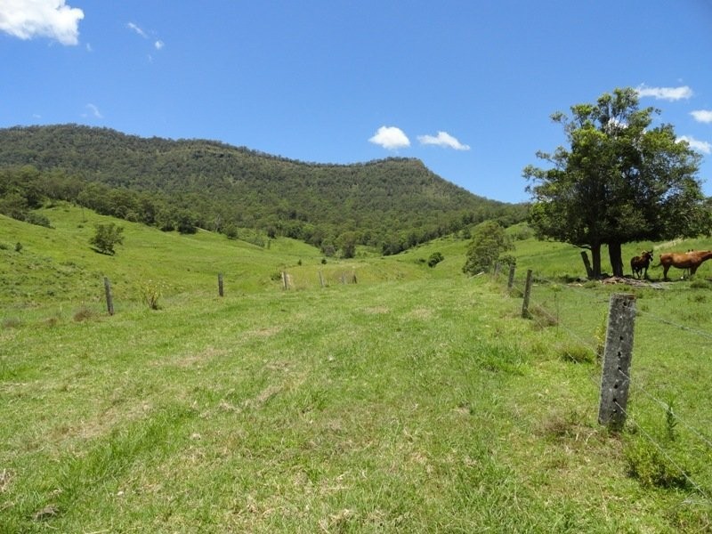 Lynch’s Creek Road, Kyogle NSW 2474