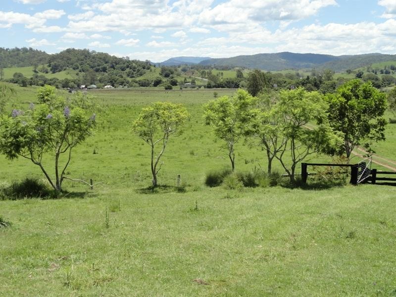 Lynch’s Creek Road, Kyogle NSW 2474